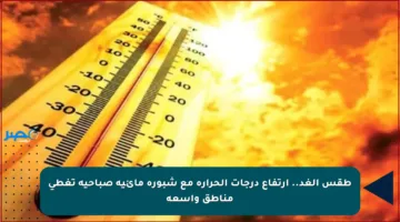 طقس الغد.. ارتفاع درجات الحرارة مع شبورة مائية صباحية تغطي مناطق واسعة